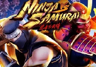 Ninja vs Samurai